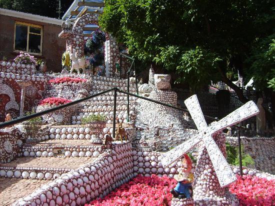 The Shell Garden Jersey